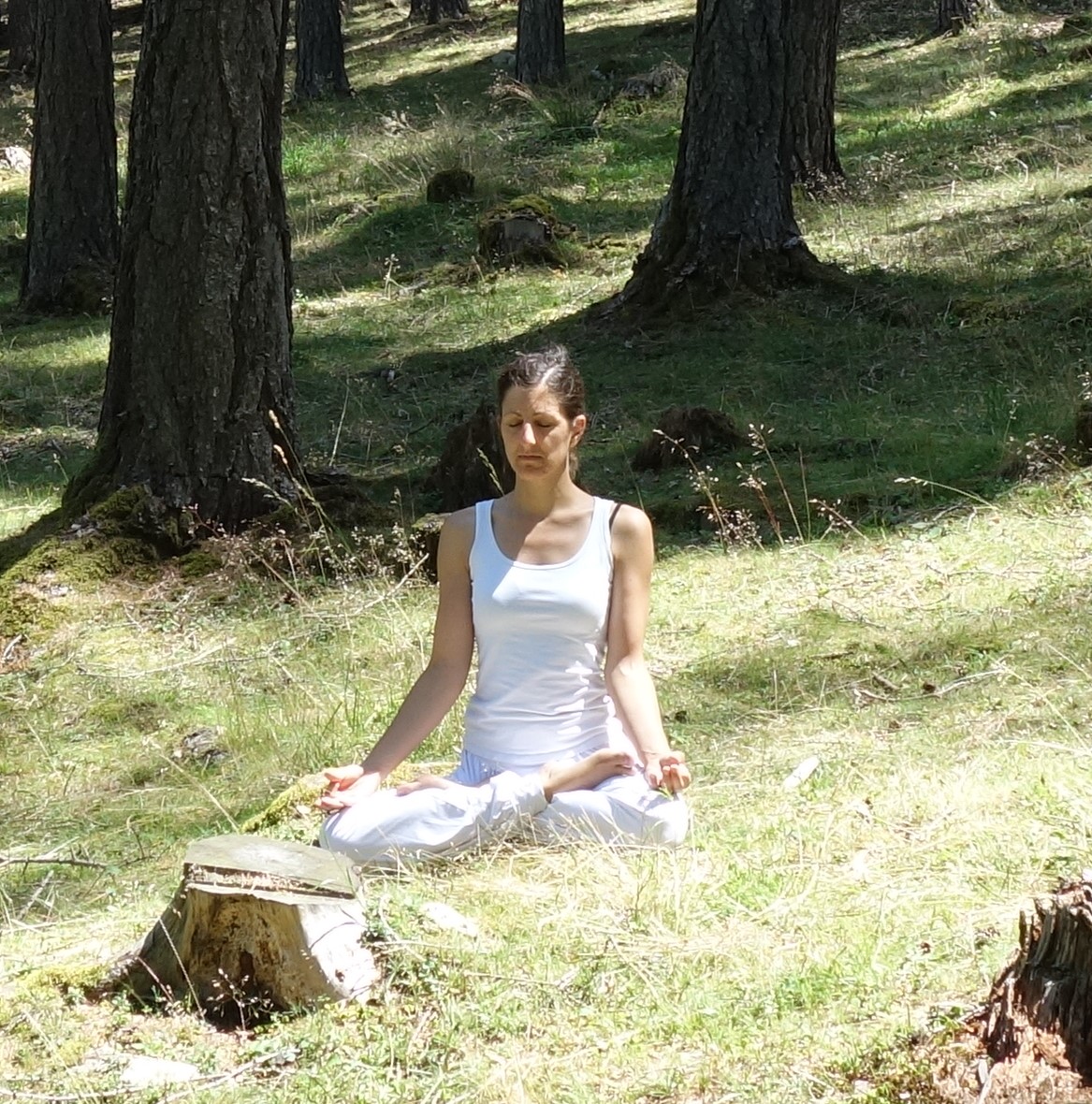 Neu: Meditativer Yin-Yogakurs 