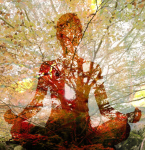 Hormonyoga- Kurs